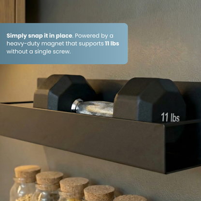 Magnetic Spice Storage Racks + FREE Oil Dispenser