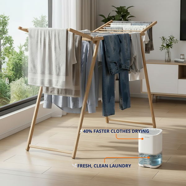 Dehumidifier + Free Humidity Monitor