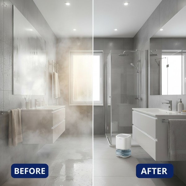 Dehumidifier + Free Humidity Monitor