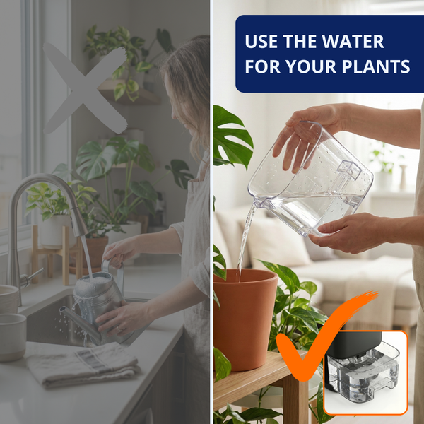 Dehumidifier + Free Humidity Monitor