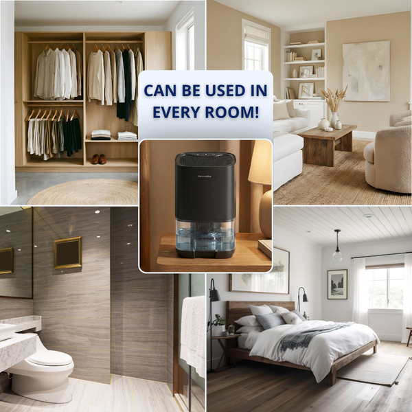 Dehumidifier + Free Humidity Monitor